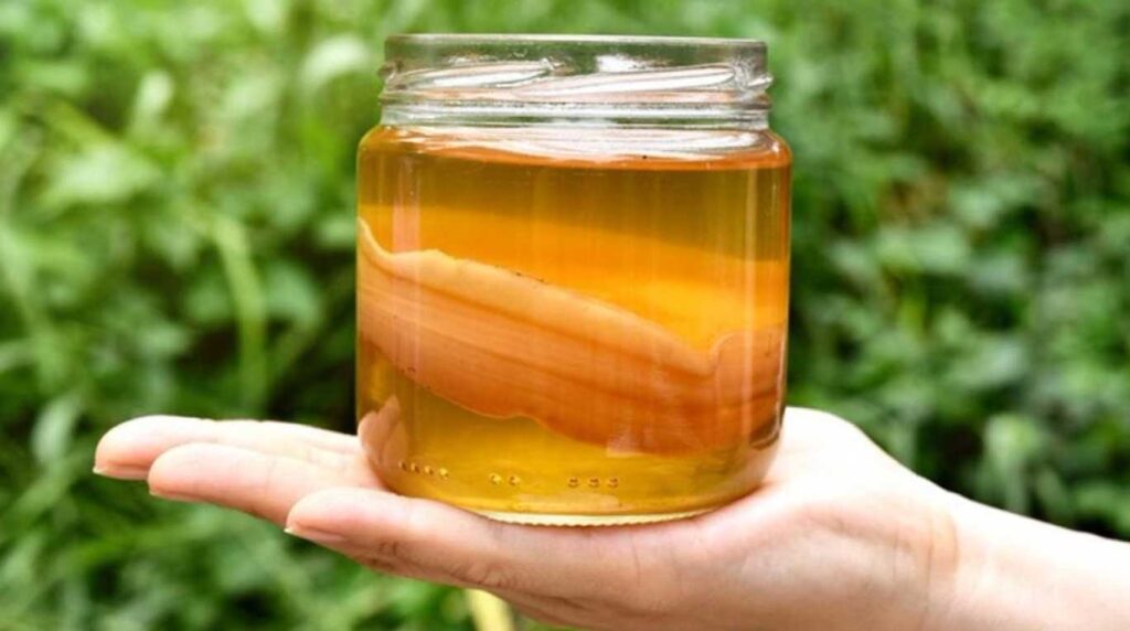 Les infusions més rares i extravagants del món