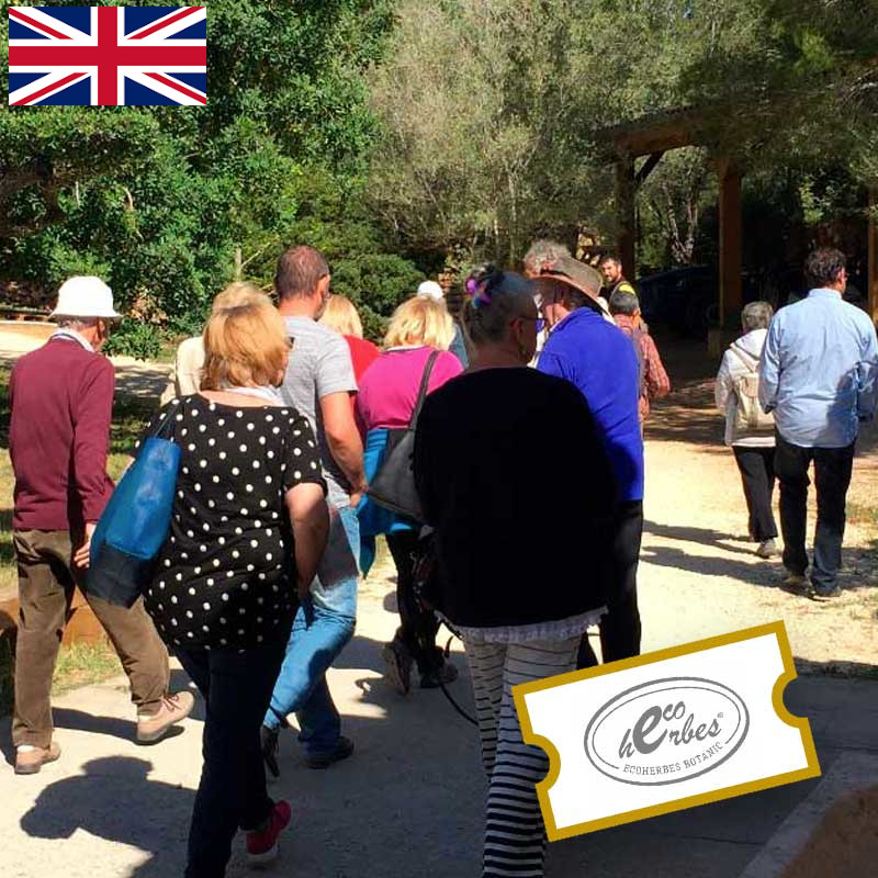🌿 Visita Lliure al Jardí Botànic Ecoherbes amb llibre guia en ANGLÈS: Descobreix un Món de Plantes Medicinals i Aromàtiques