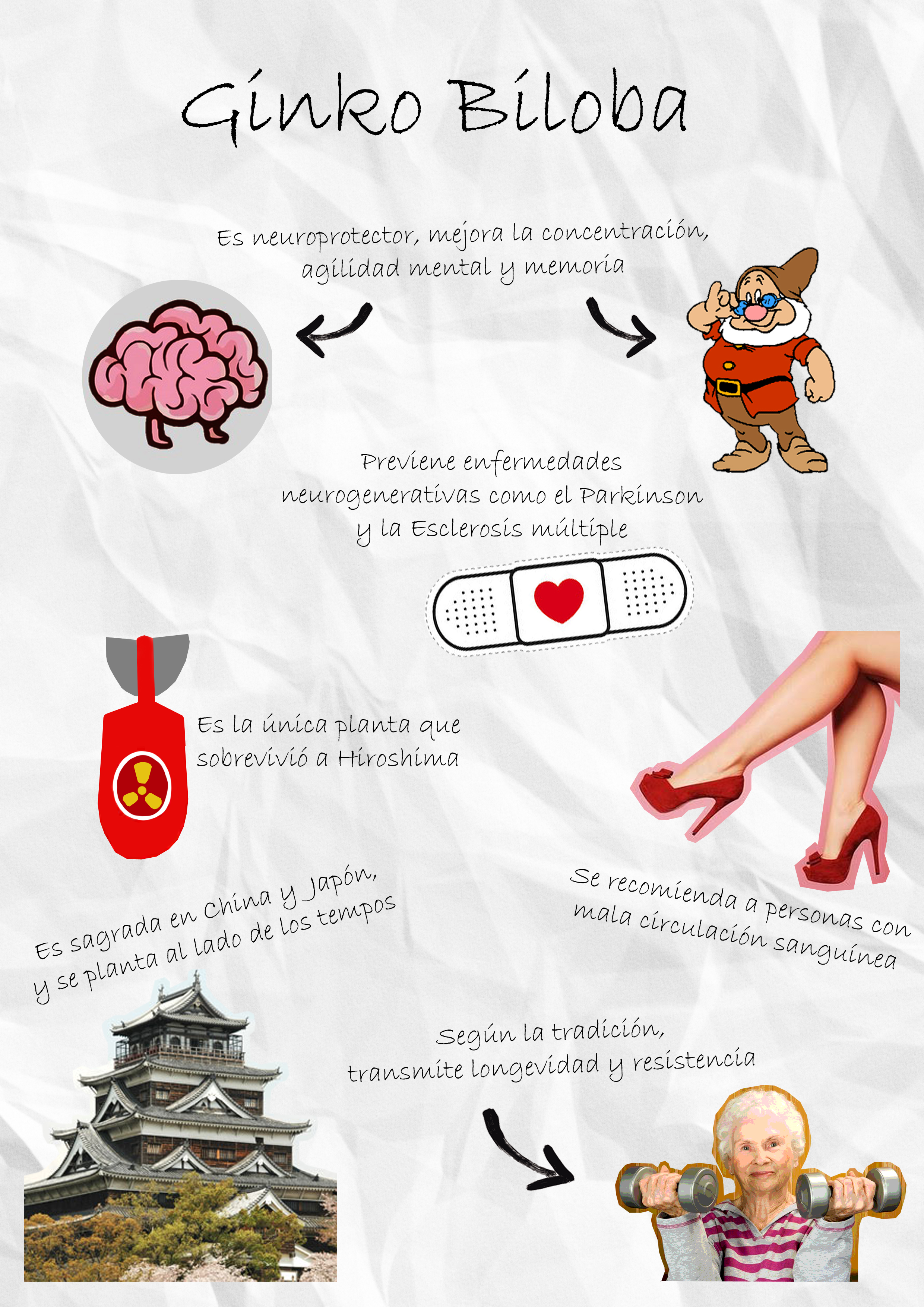 Biloba_Resum