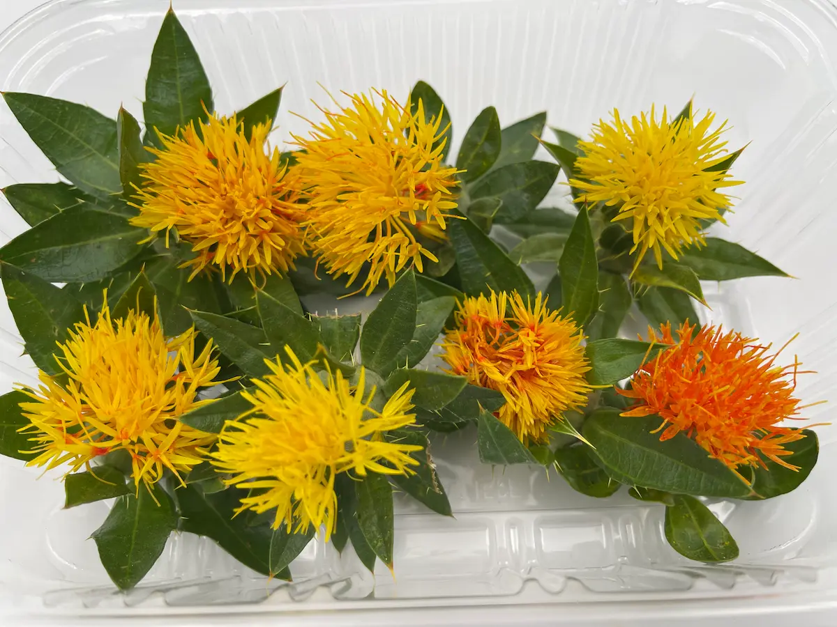 Flor de azafrán borde ECO: color cálido y notas suaves para platos con acento natural y expresivo