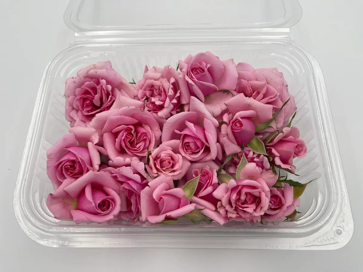 Flor de rosa ECO: elegancia clásica y aroma intenso para creaciones refinadas - Imagen 5