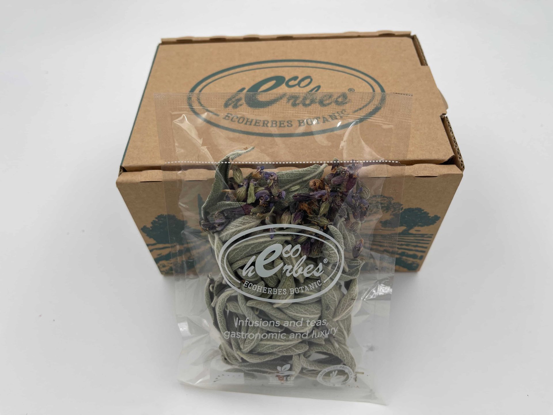 Sage - Image 2