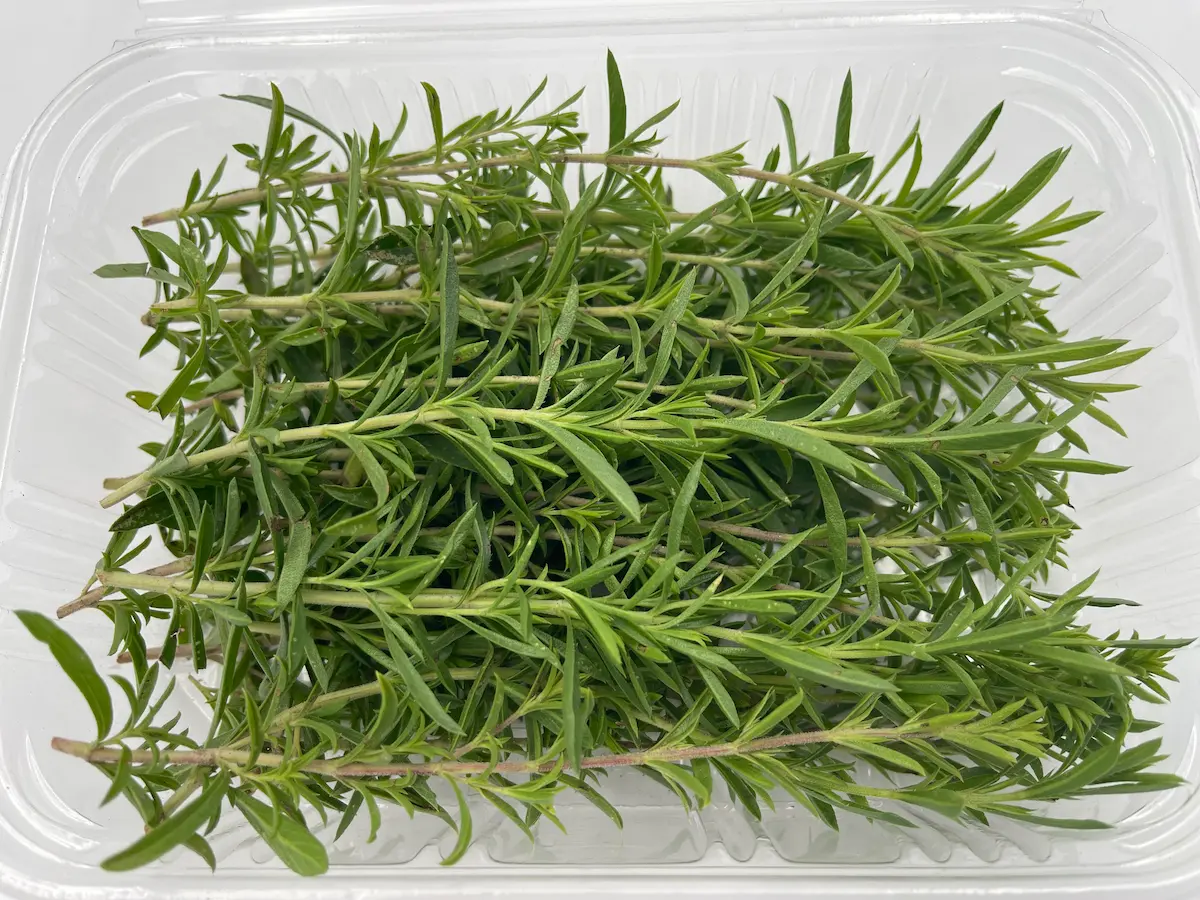 Hojas de ajedrea ECO: frescura intensa y notas especiadas para una cocina con carácter