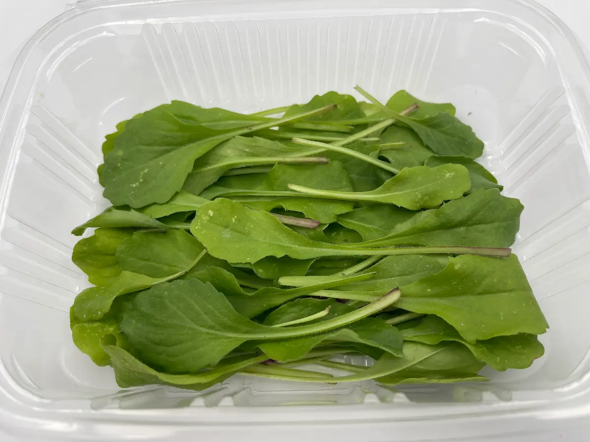 Bellis Leaves ORGANIC: wild softness and visual freshness for delicate dishes