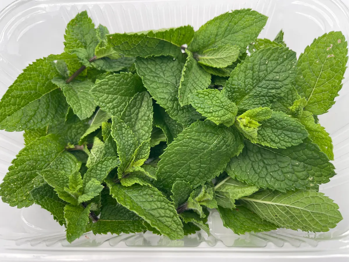 Hojas de herbabona ECO: frescura aromática y versatilidad clásica para todo tipo de cocina