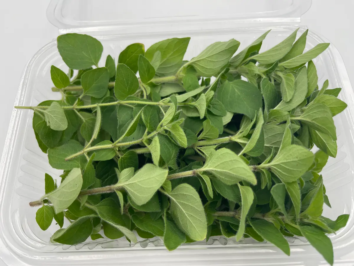 Oregano leaves ORGANIC: Mediterranean intensity and deep aroma for dishes with character