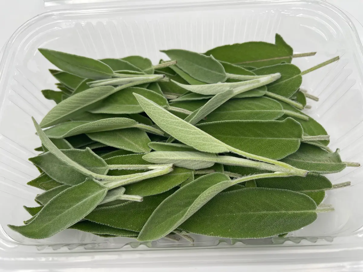 Sage Leaves ORGANIC: deep aroma and velvety texture for soulful dishes