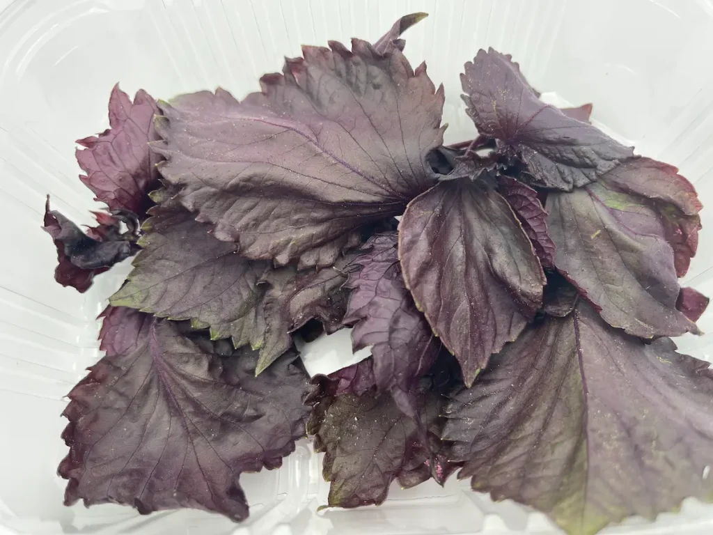 Fresh Edible Leaves