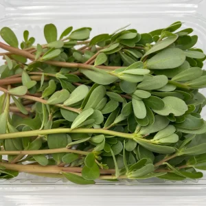 Purslane Leaves ORGANIC: crisp texture and refreshing flavor for natural and balanced cuisine