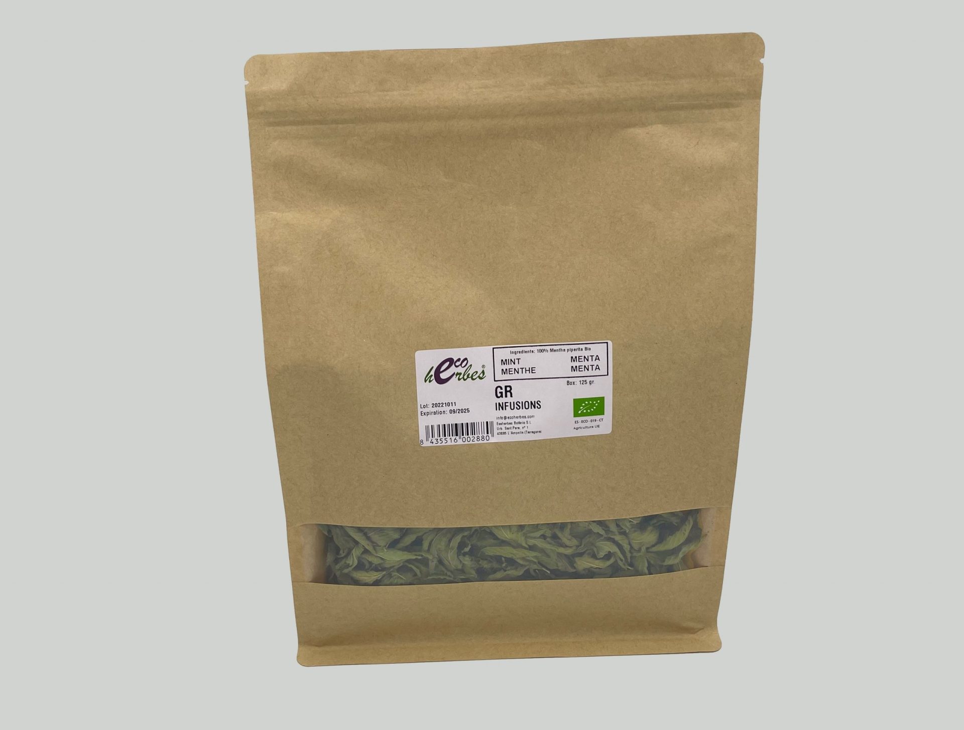 Menthe