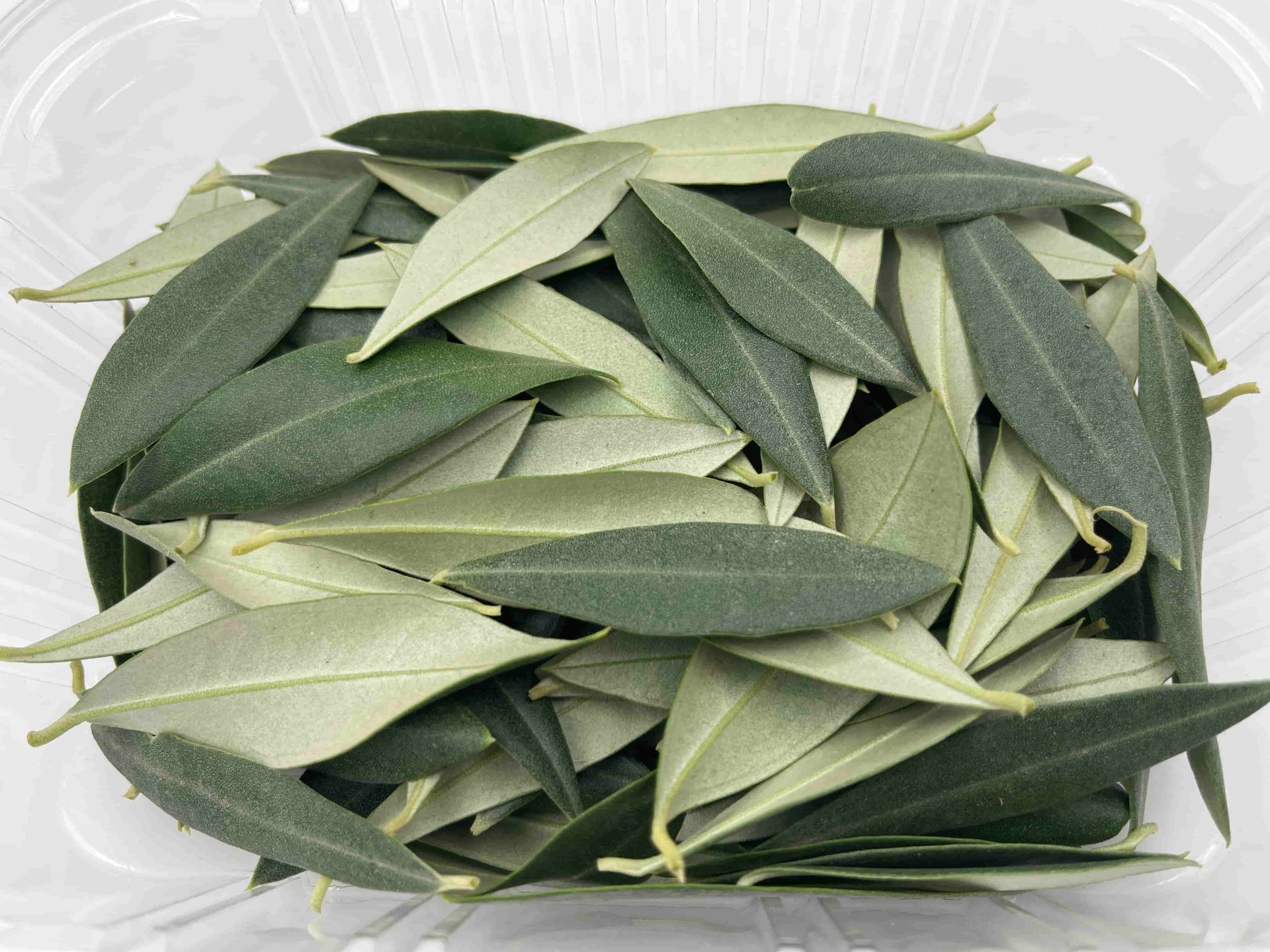 Fulles d’olivera ECO: essència mediterrània i caràcter vegetal per a una cuina amb arrels