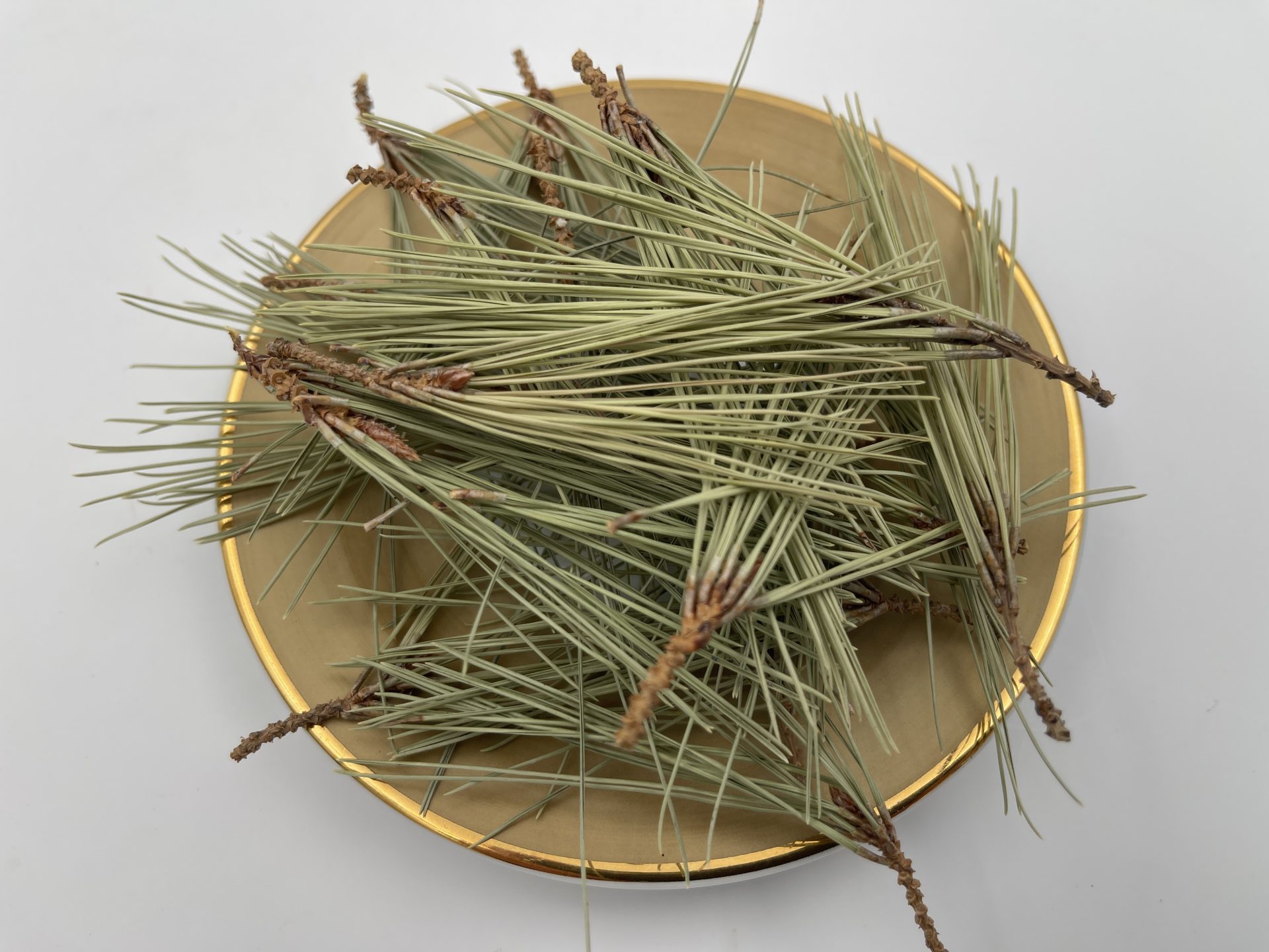 Brots de Pi ECO - Imatge 2